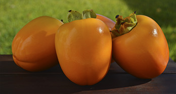Caquis Persimon 18kg - Preço 53 €