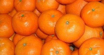 Tangerinas Clementinas 12 Kg - Preço 44 €