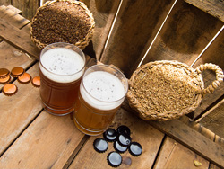 Cerveja artesanal - WAI - Valencia craft beer online