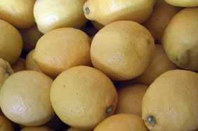 Comprar limões - Valencia lemons online