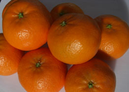 Comprar tangerinas - Valencia mandarins online