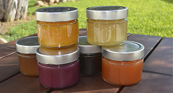 Comprar compota online - Valencia artisan marmalades online