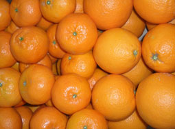 Comprar caixa de frutas variadas - Valencia oranges and mandarins online