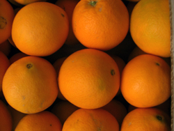 Comprar laranjas online - Valencia oranges online