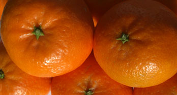 Tangerinas Hernandina 12 Kg - Preço 44 €