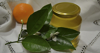 Tangerinas Hernandina 18 Kg - Preço 16 €