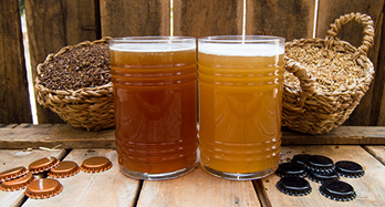 Mixed 24 cervejas artesanais WAI - Preço 72 €