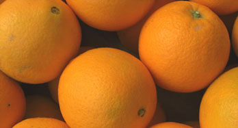 Laranjas Navelina 18 Kg - Preço 50 €