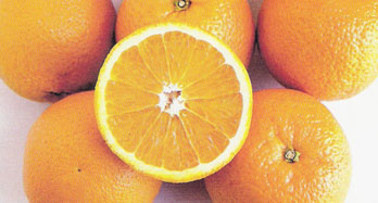 Laranjas Valencia 15Kg - Preço 44 €